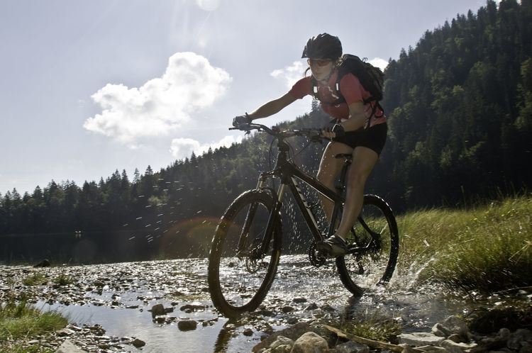 San Sebastian galeria 2.1