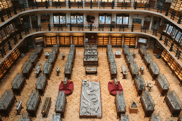 Museos originales en Madrid